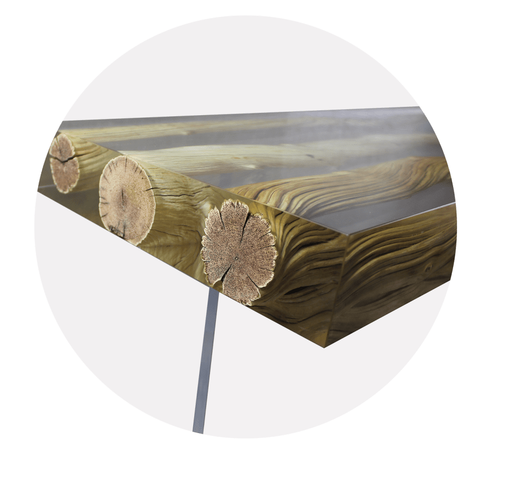 FLOATING LIANA CO WEBSIZE2